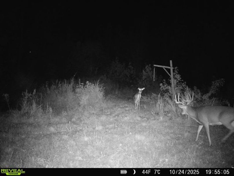 860516067719439-70-4-10242025195506-W1016641