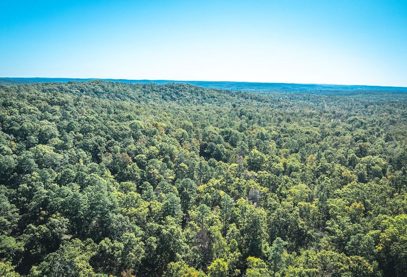 DJI_20251009045837_0599_D