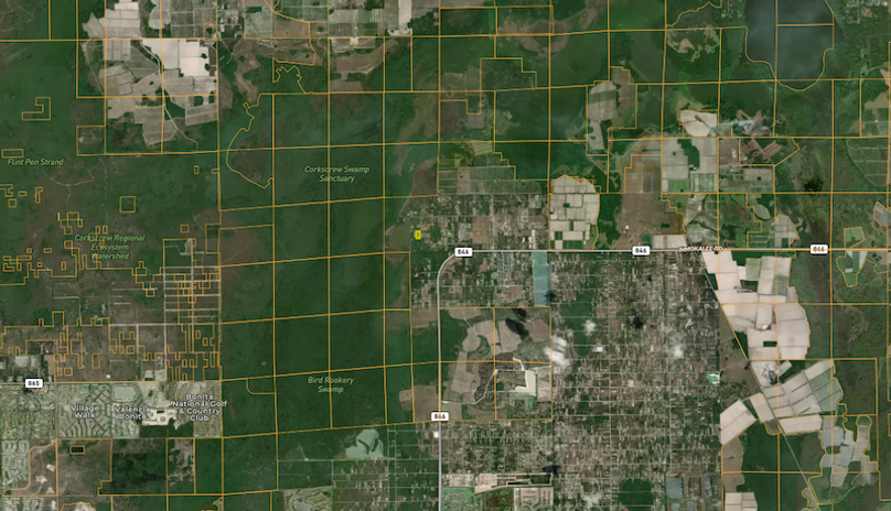 Screenshot 2025-08-18 at 5.18.08 PM