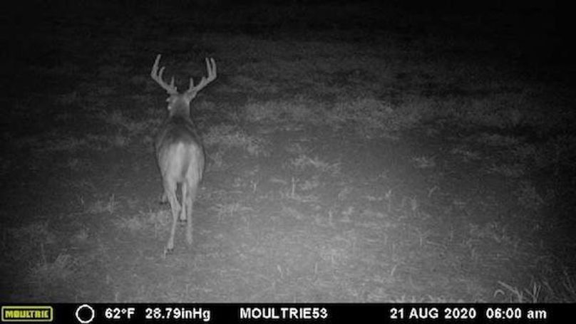 176471-20200821110445-101MFCAM_MFDC1522