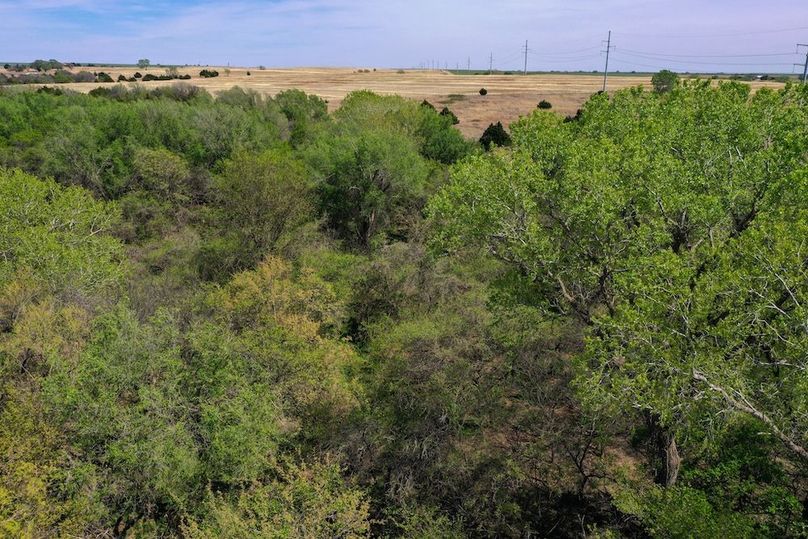 DJI_0780