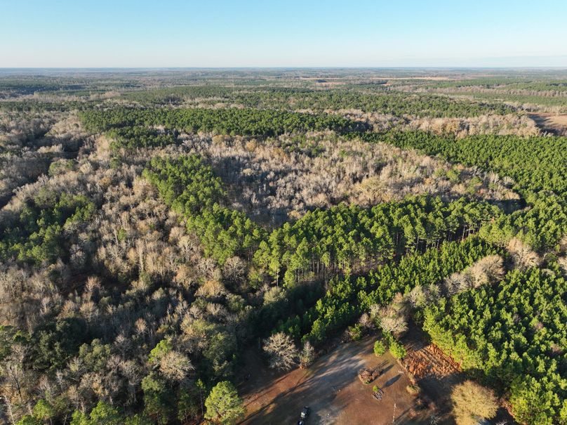 dji_fly_20231229_082332_971_1703856724367_photo