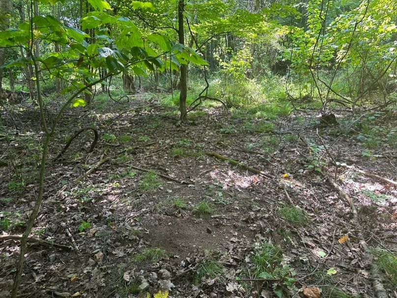 477641EA-F565-4411-B066-414752DBA830_1_105_c