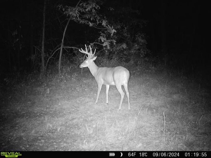 860322061934193-100-4-09062024011954-W1005333