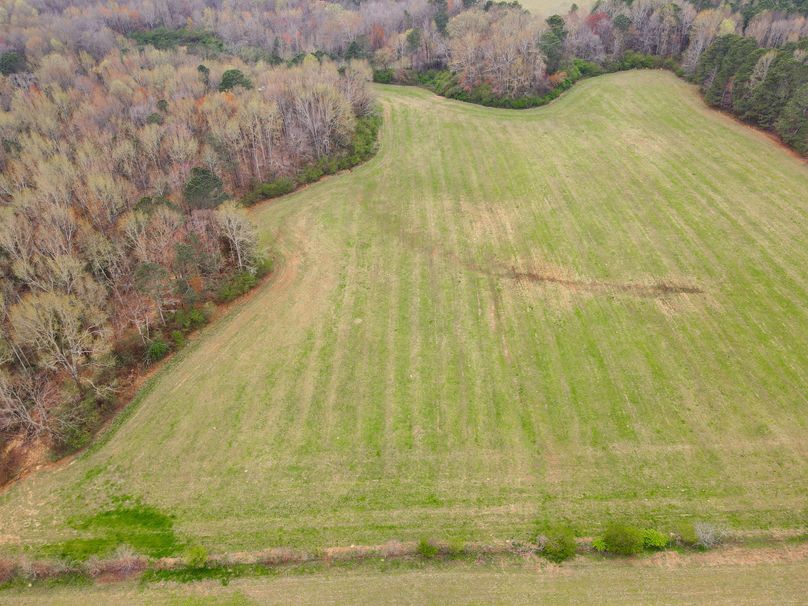 D754FC9D-E1FD-4359-8F2C-0FEAF8A09AAE