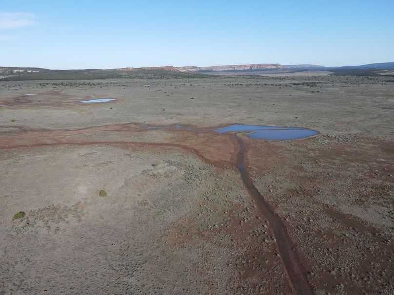 dji_fly_20240504_081050_347_1714831962618_photo