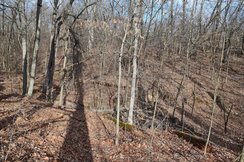 DSC_0315_inPixio (2)