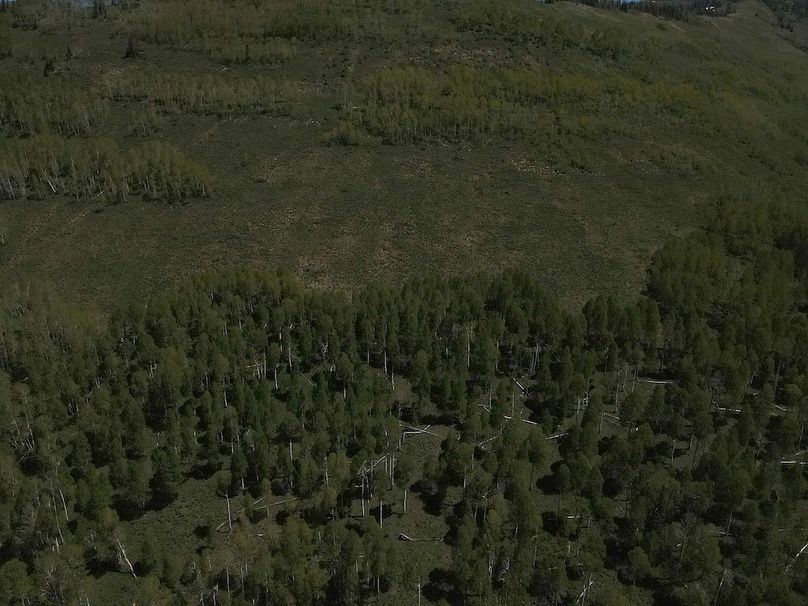 Copy of Photo_1080295617_DJI_193_jpg_4906529_0_202261412536_photo_original.jpg