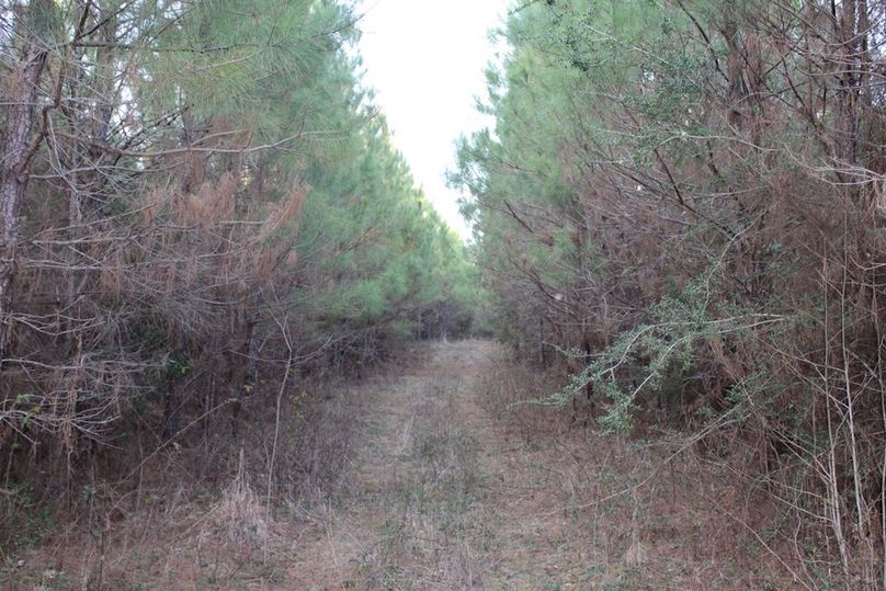 FCFB2F9D-98A8-4CB7-B070-03991934749C_1_105_c