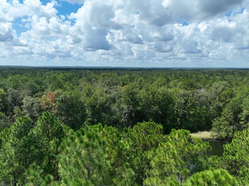 35EDF75B-F393-4788-8F56-C96816EC3314-2