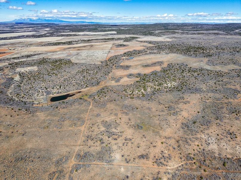 DJI_20260303122916_0065_D