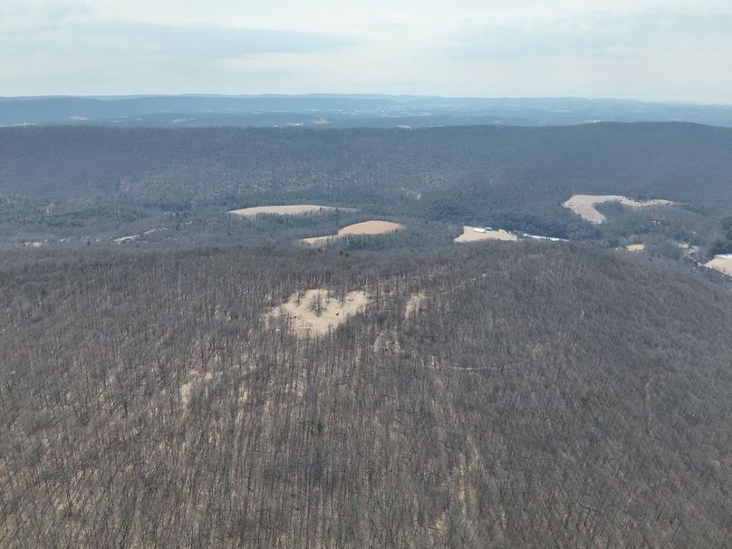 DJI_20250304114757_0013_V