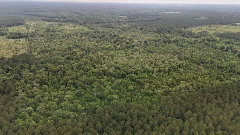 Copy of DJI_20250529231054_0546_D