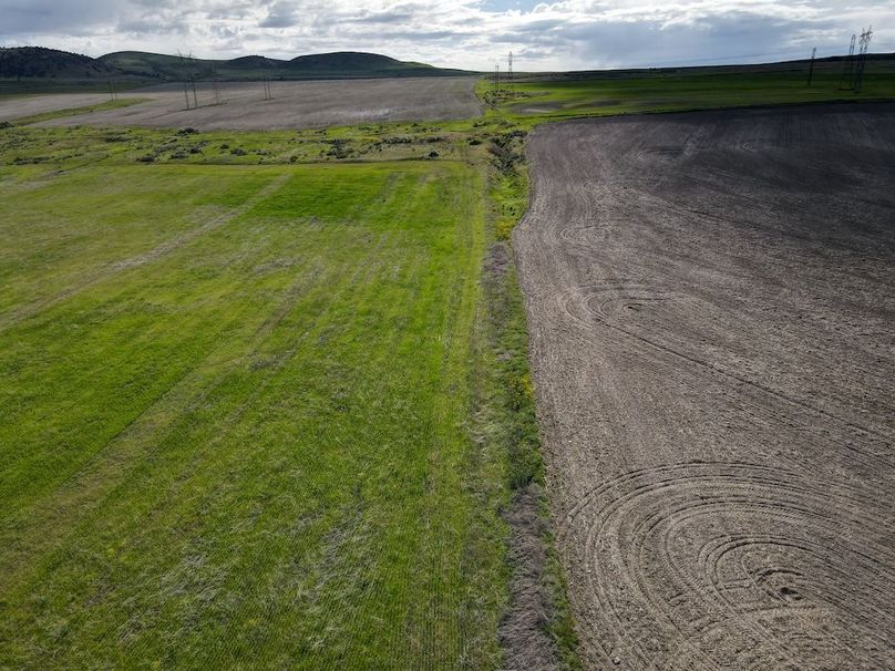 dji_fly_20240515_093726_444_1715787489641_photo