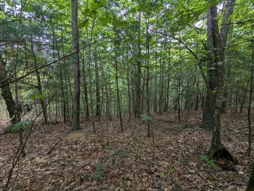 PXL_20240819_151506431