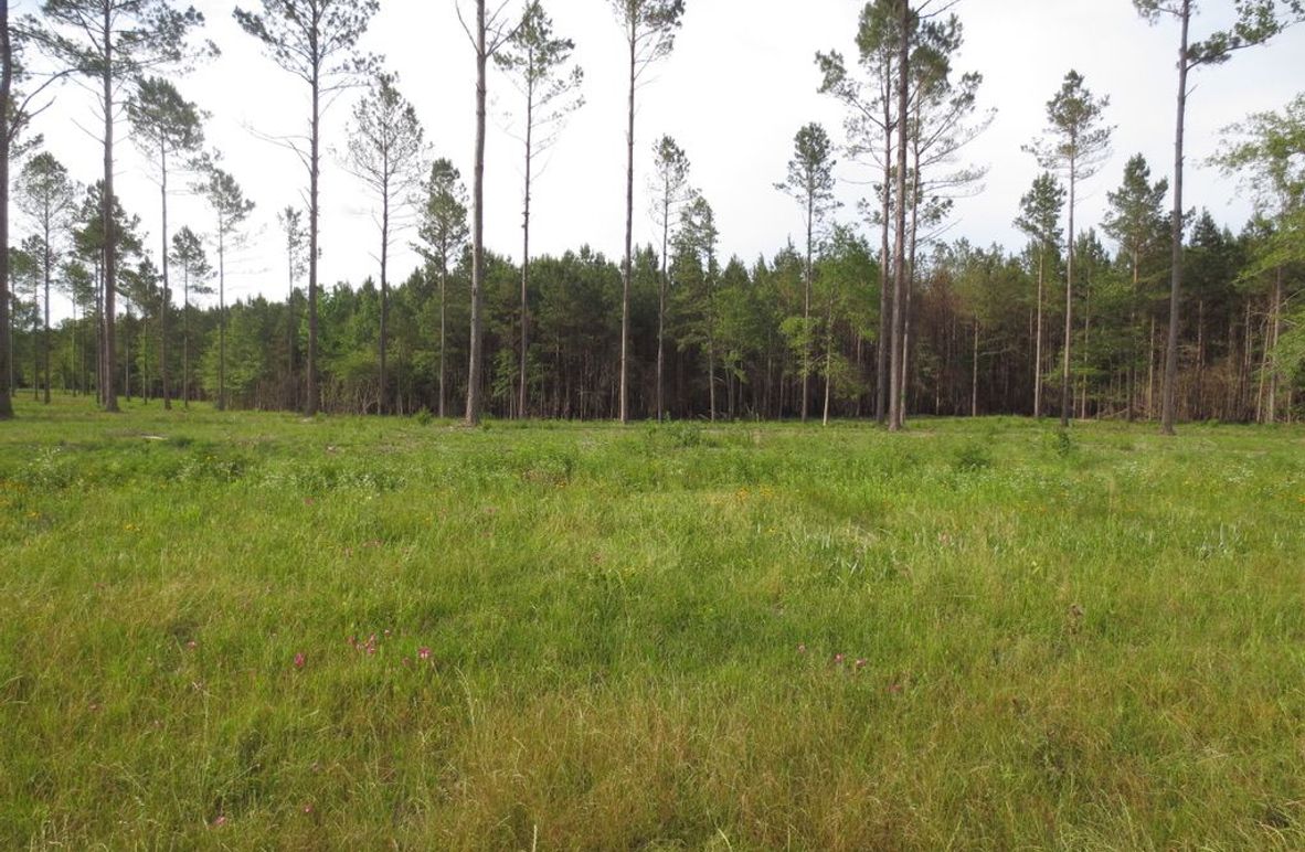 523FC4DB-0FEB-4B1C-BD70-6F8B54F56AF3_1_105_c