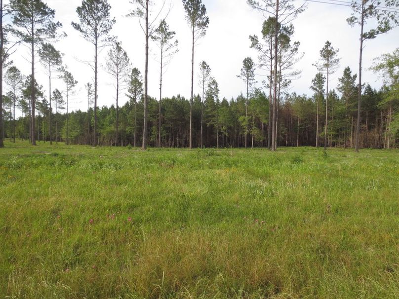 523FC4DB-0FEB-4B1C-BD70-6F8B54F56AF3_1_105_c