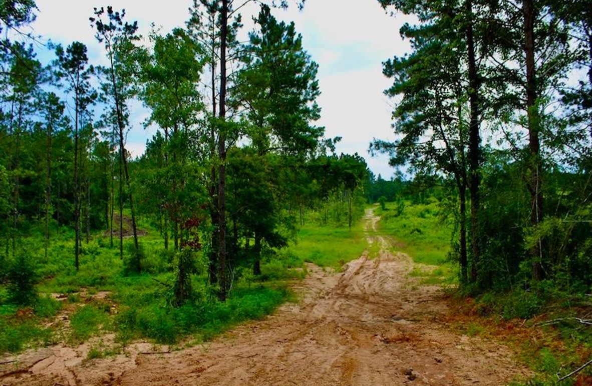 3C47F4E6-D012-4412-A6BA-7496A59B29A2_1_105_c