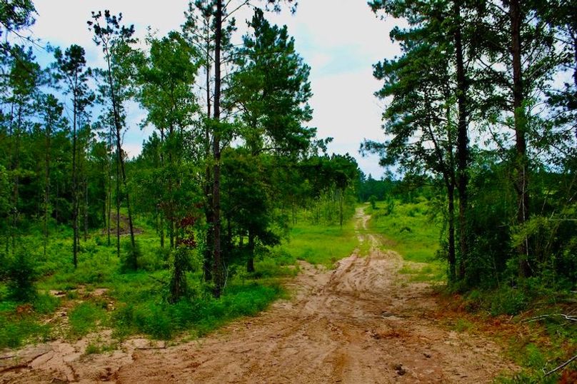 3C47F4E6-D012-4412-A6BA-7496A59B29A2_1_105_c