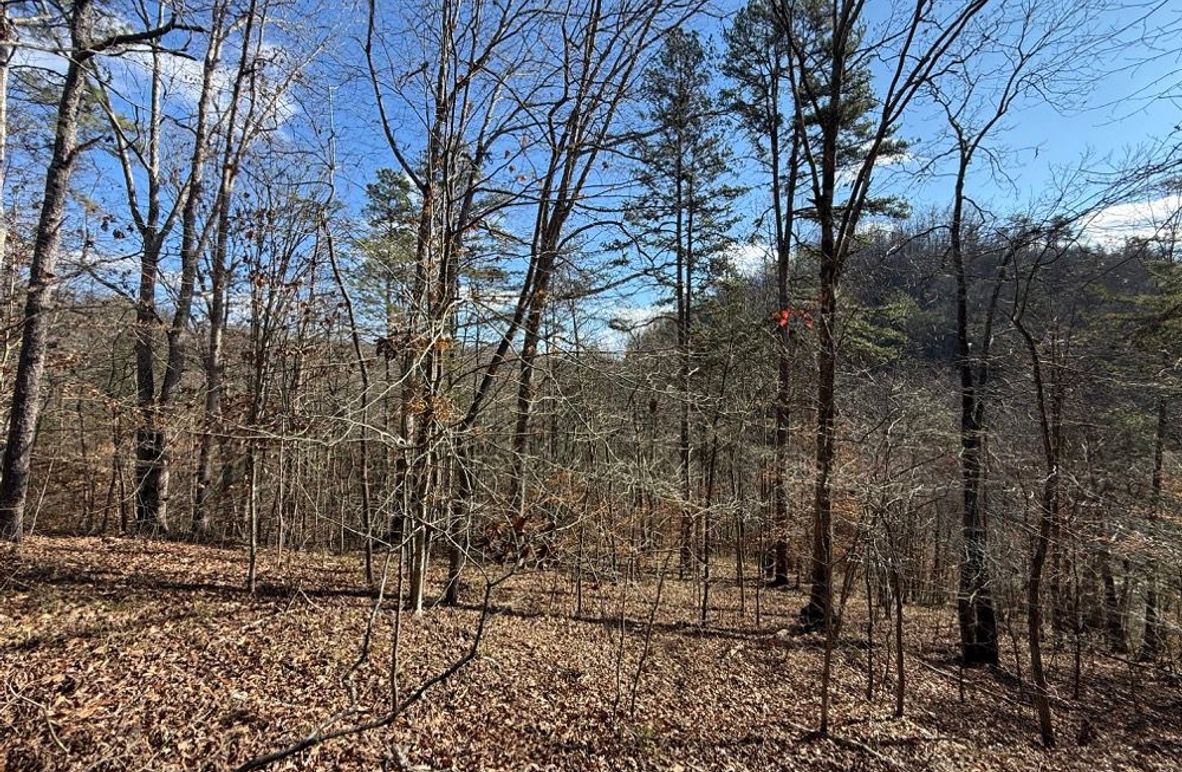 002 view to the south near the south end of the property
