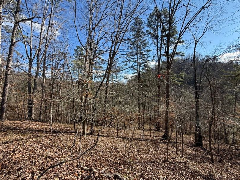 002 view to the south near the south end of the property