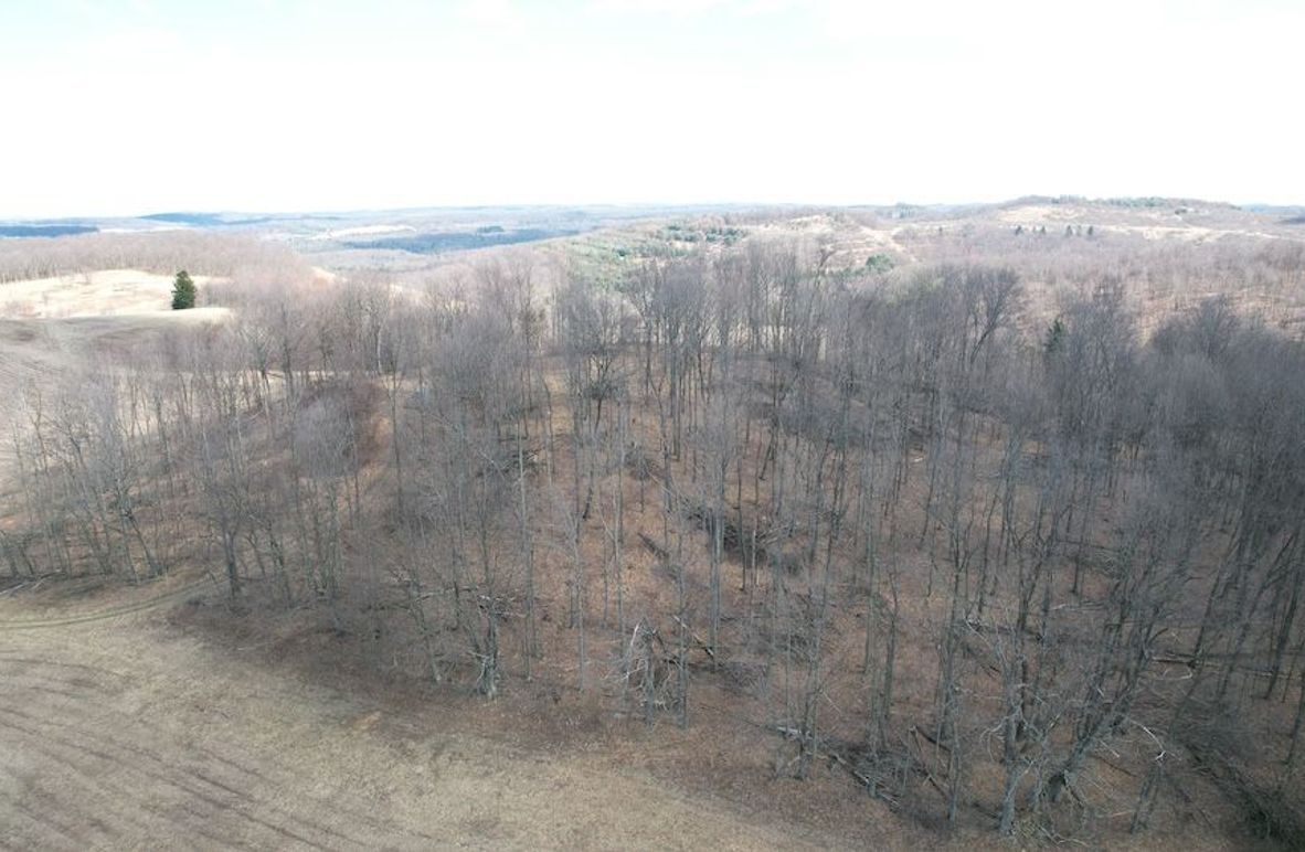 dji_fly_20250325_123132_31_1742920812583_photo