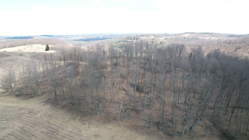 dji_fly_20250325_123132_31_1742920812583_photo