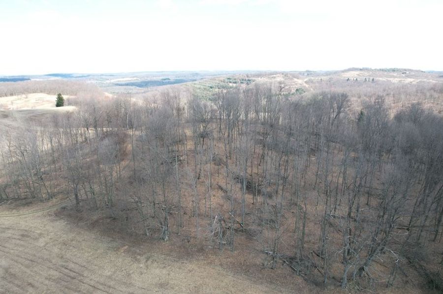 dji_fly_20250325_123132_31_1742920812583_photo