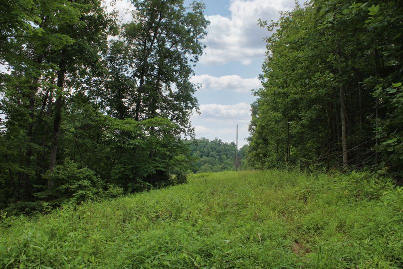 057 small powerline ROW providing electric service to the western portion of the property