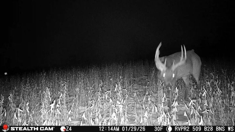 2026012900143801018737_ColorizationType.none