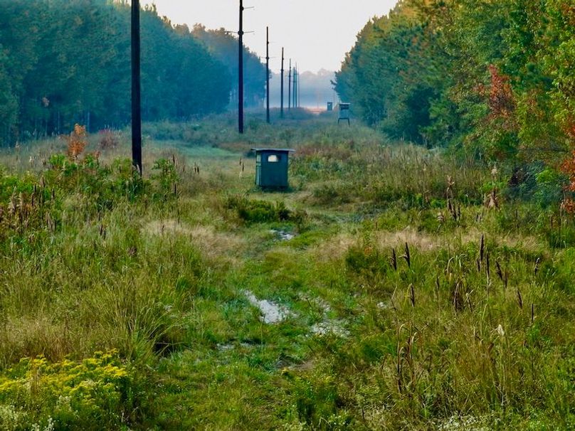 428F0F3B-0102-4894-99FA-FC1EADC7740E_1_201_a