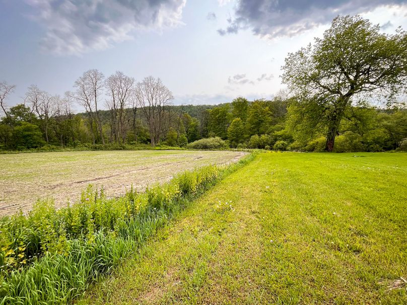 Tompkins_10.85-Gregrow_Photos_30