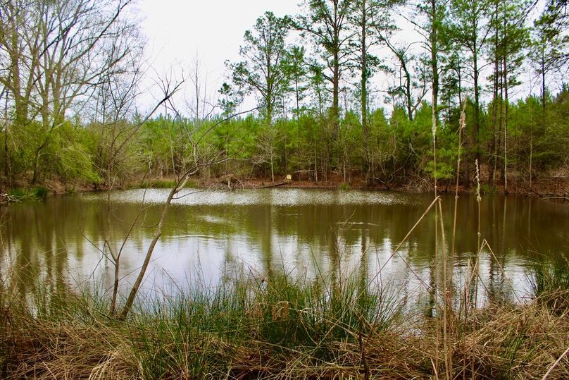 22DAC64B-3B9D-4612-B301-238888AF16AE_1_105_c