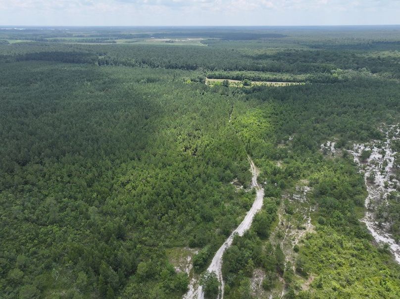 DJI_20250627124220_0163_D