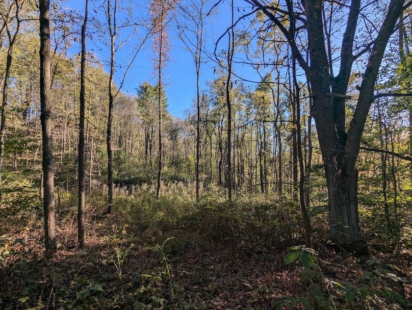 PXL_20251001_211440002