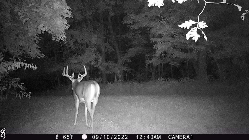 Sauk 174 Trailcam - 40