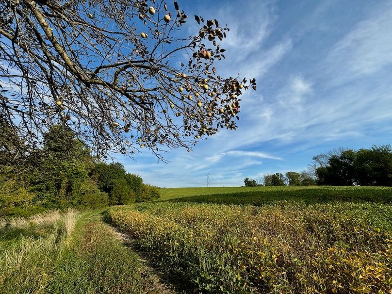 Richland 199Ground - 18