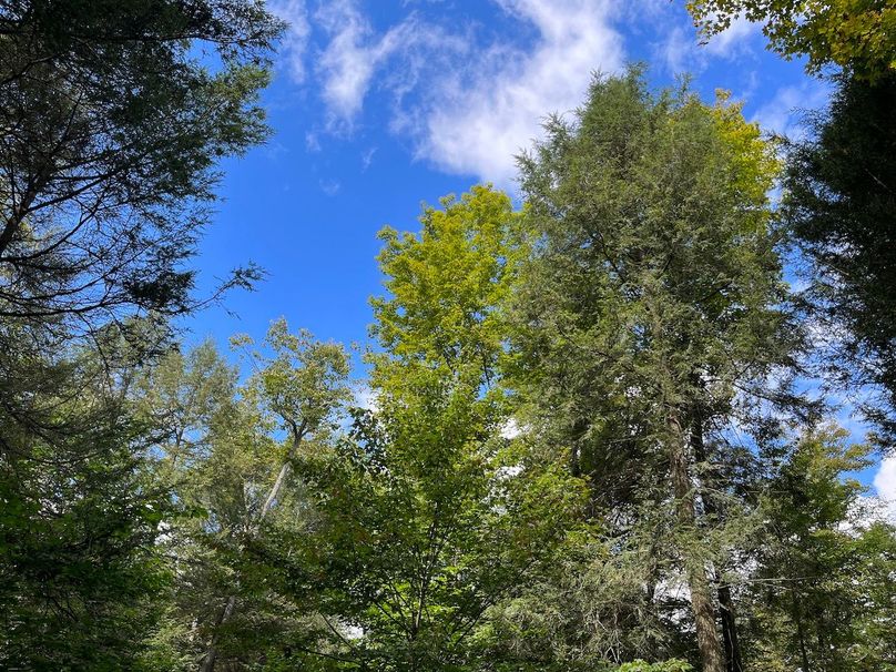 Schuyler_42.08_Austin Photo 35