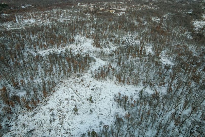 Adams 263.17, Hale -46