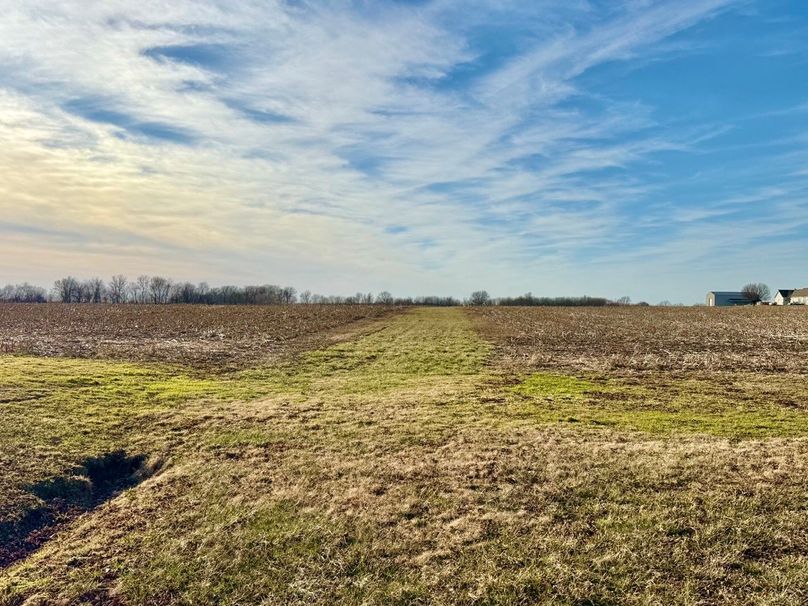 Copy of IMG_7175 Large