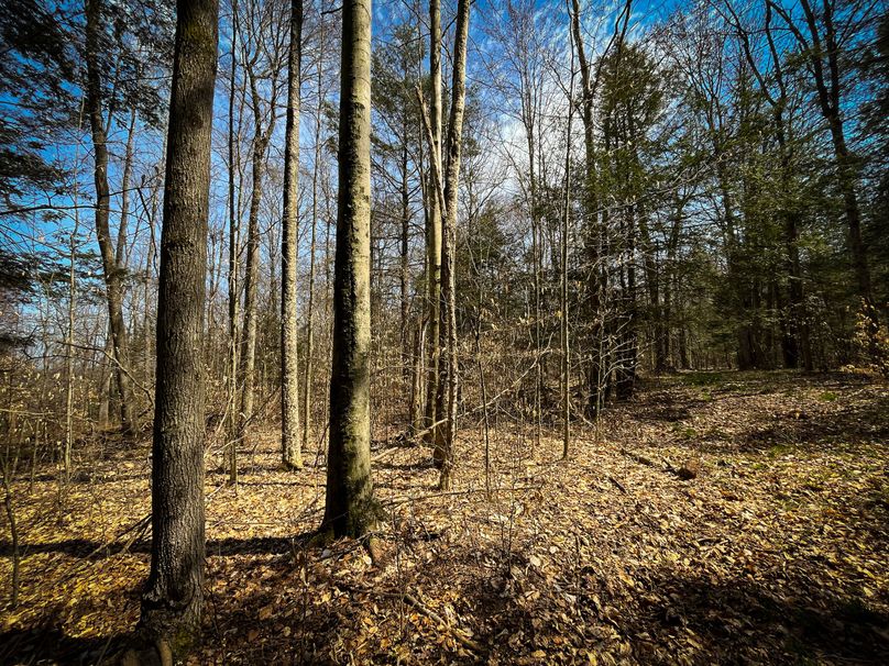Tioga_56.2_Susquehanna_Photos_45