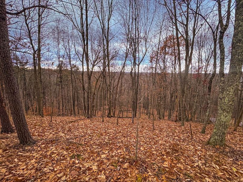 Ritchie, WV 14.081 AC Currey-41