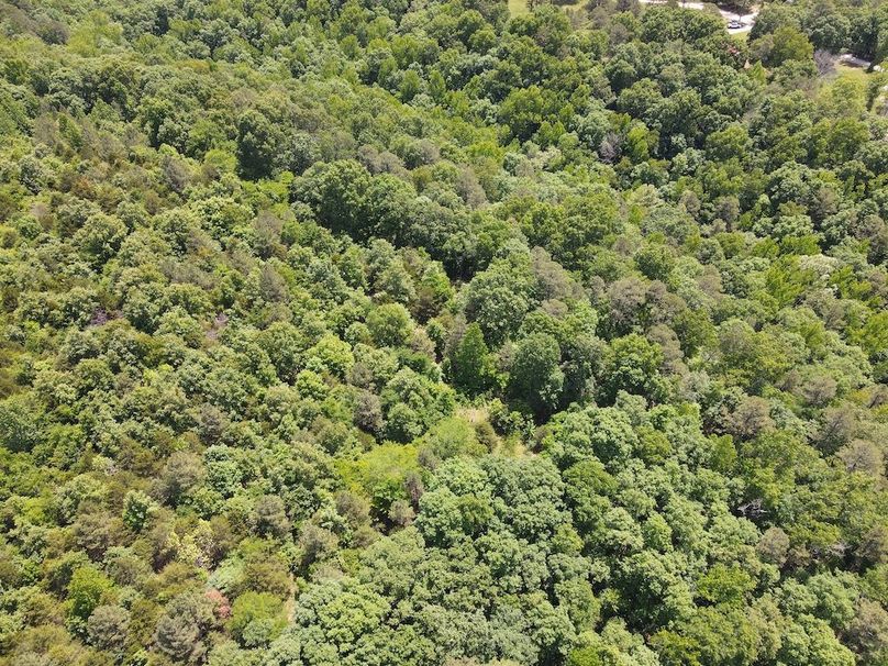 dji_fly_20260514_121436_809_1778778928256_photo