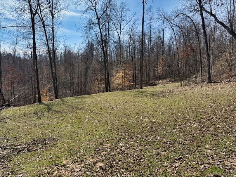 017 beautiful late winter_early spring food plot on the north end-2