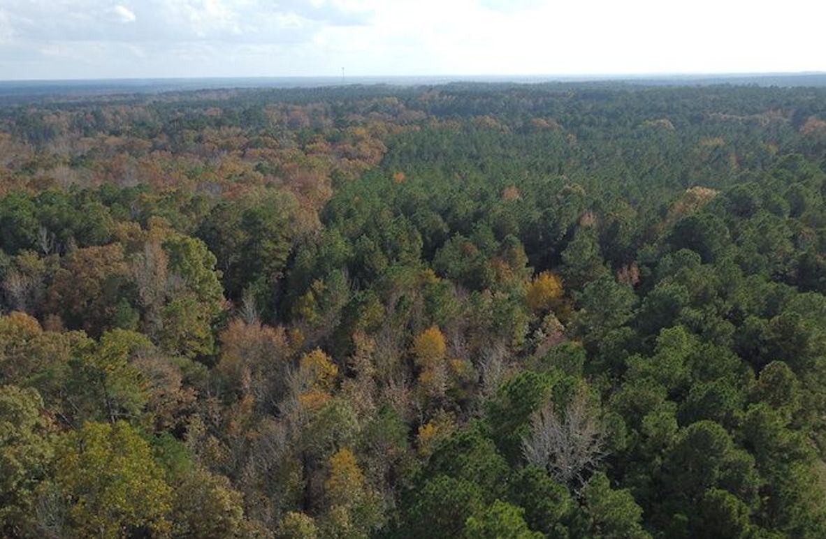 hot spring 1920251113_0380