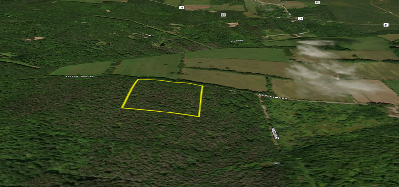 2 Screenshot 2023-03-05 at 3.23.31 PM