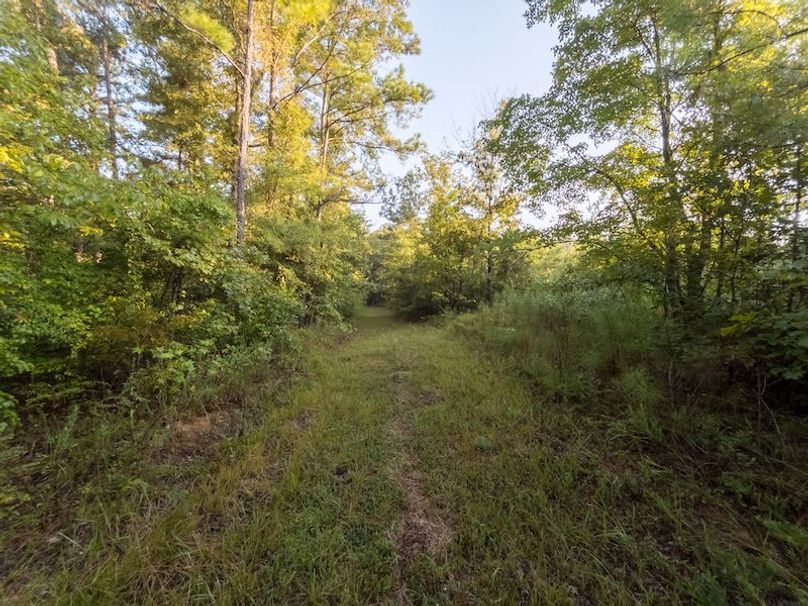 Madison Co - 40 - Clerk-17