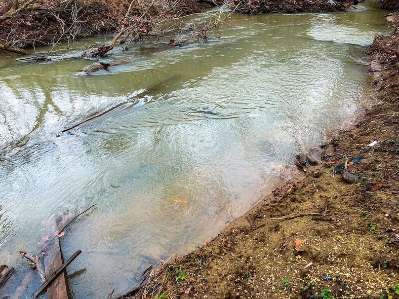 Calhoun, WV 225.69 AC Duffield-20