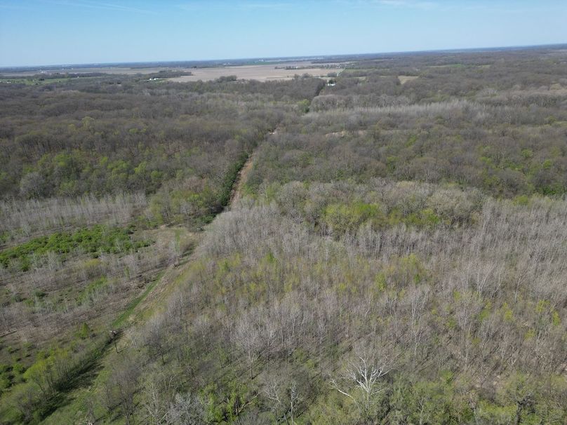DJI_0238