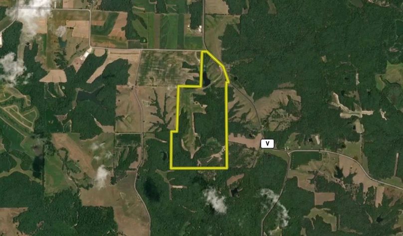 Screenshot 2026-02-26 at 7.54.39 AM